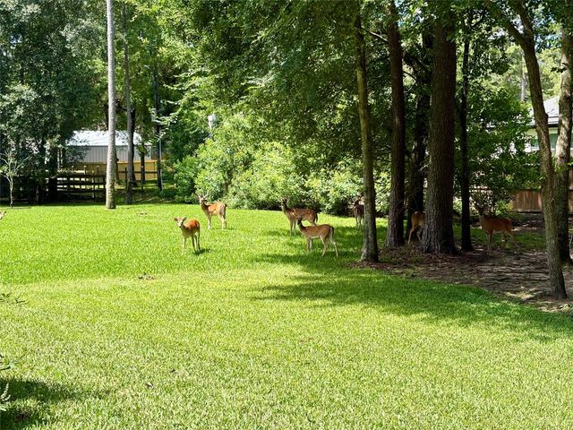 34015 Conroe Huffsmith Road, Magnolia, TX 77354