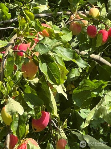 16110 Dodge Lane SW, Olympia, WA 98512