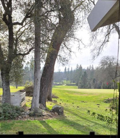 19193 Jayhawk Dr, Penn Valley, CA 95946