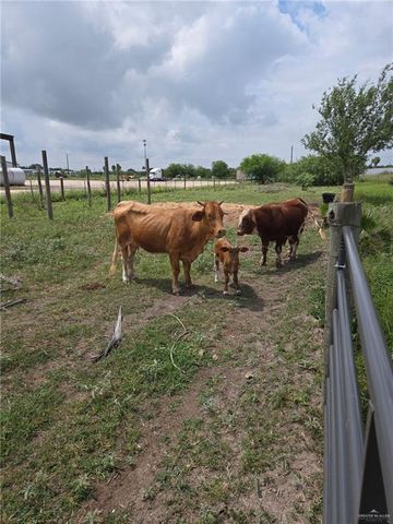 6110 E Texas Road, Edinburg, TX 78542