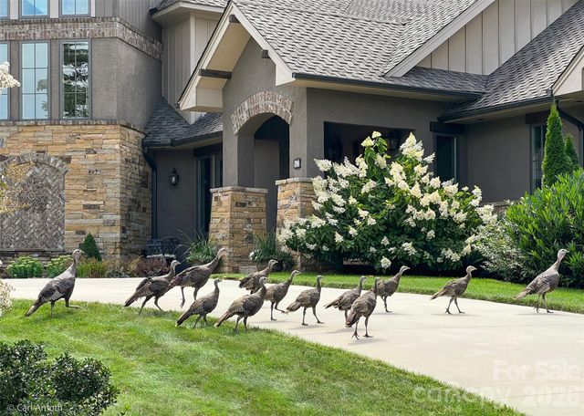 4642 Bearwallow Road, Hendersonville, NC 28792