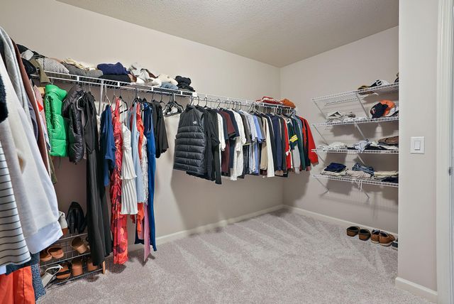 506 Twinflower Road, Medina, MN 55340