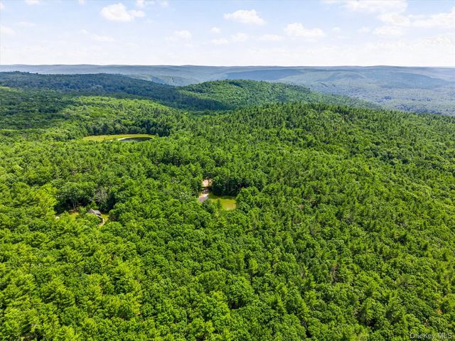 142 Split Rock Drive, Barryville, NY 12719
