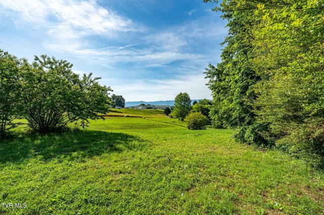 154 Stockton Road, Chuckey, TN 37641