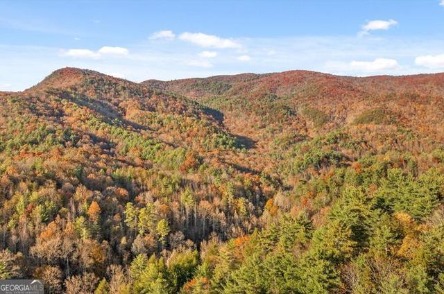 180 Cohutta Forest Road, Ellijay, GA 30540
