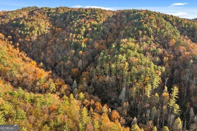 180 Cohutta Forest Road, Ellijay, GA 30540