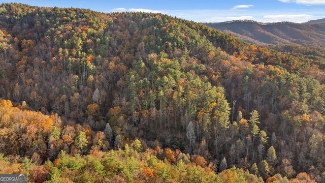 180 Cohutta Forest Road, Ellijay, GA 30540
