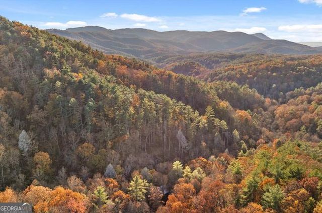 180 Cohutta Forest Road, Ellijay, GA 30540