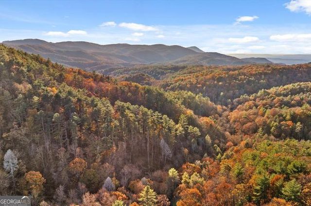 180 Cohutta Forest Road, Ellijay, GA 30540