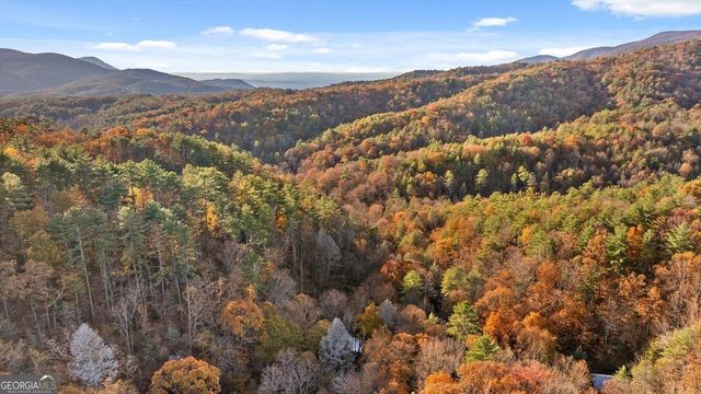 180 Cohutta Forest Road, Ellijay, GA 30540