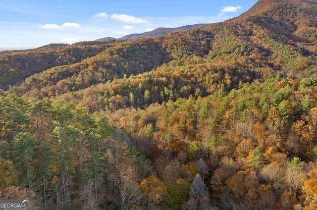 180 Cohutta Forest Road, Ellijay, GA 30540