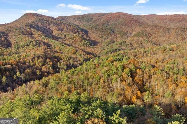 180 Cohutta Forest Road, Ellijay, GA 30540