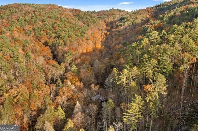 180 Cohutta Forest Road, Ellijay, GA 30540
