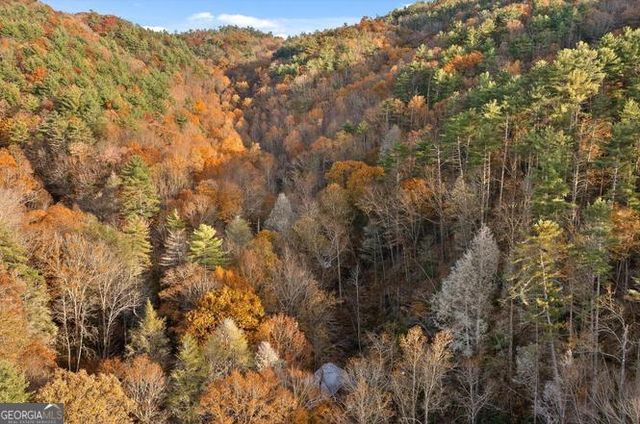 180 Cohutta Forest Road, Ellijay, GA 30540