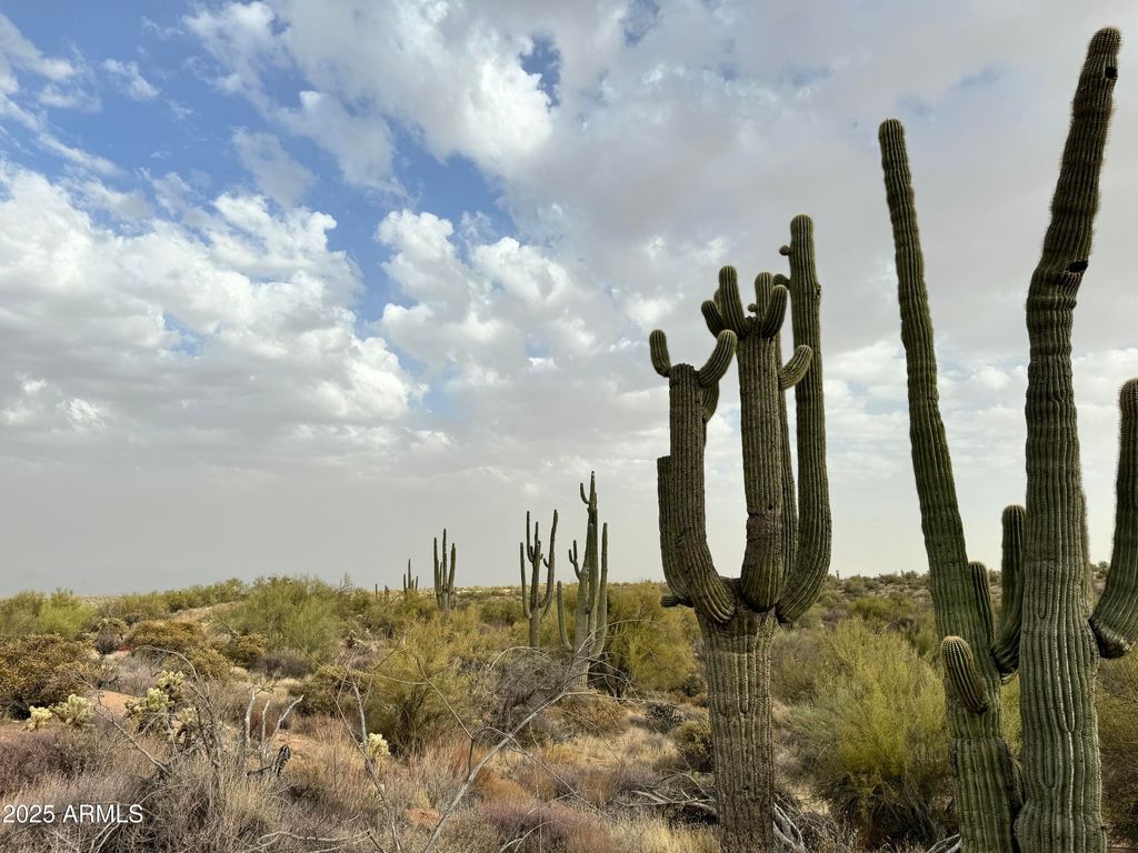 139xx E Montello Road -, Scottsdale, AZ 85262 — photo 2