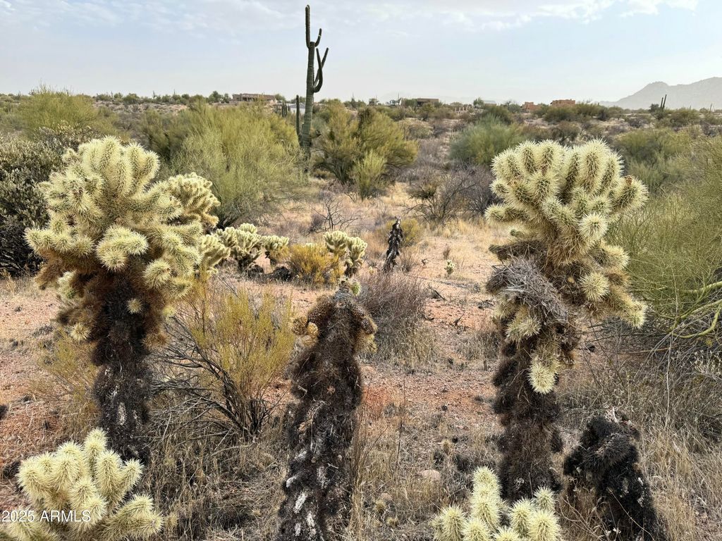 139xx E Montello Road -, Scottsdale, AZ 85262 — photo 3