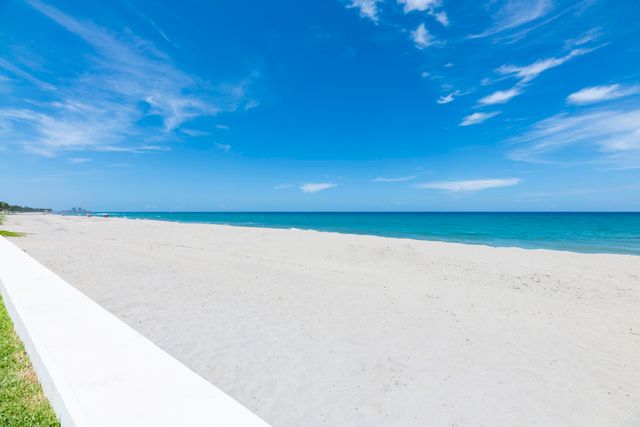 100 Sunrise Avenue 223, Palm Beach, FL 33480