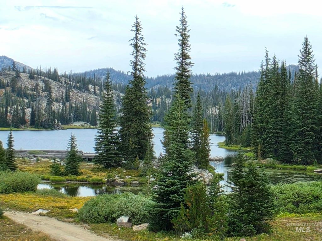 TBD Hump Lake Lot 1, Dixie, ID 83525 photo 3