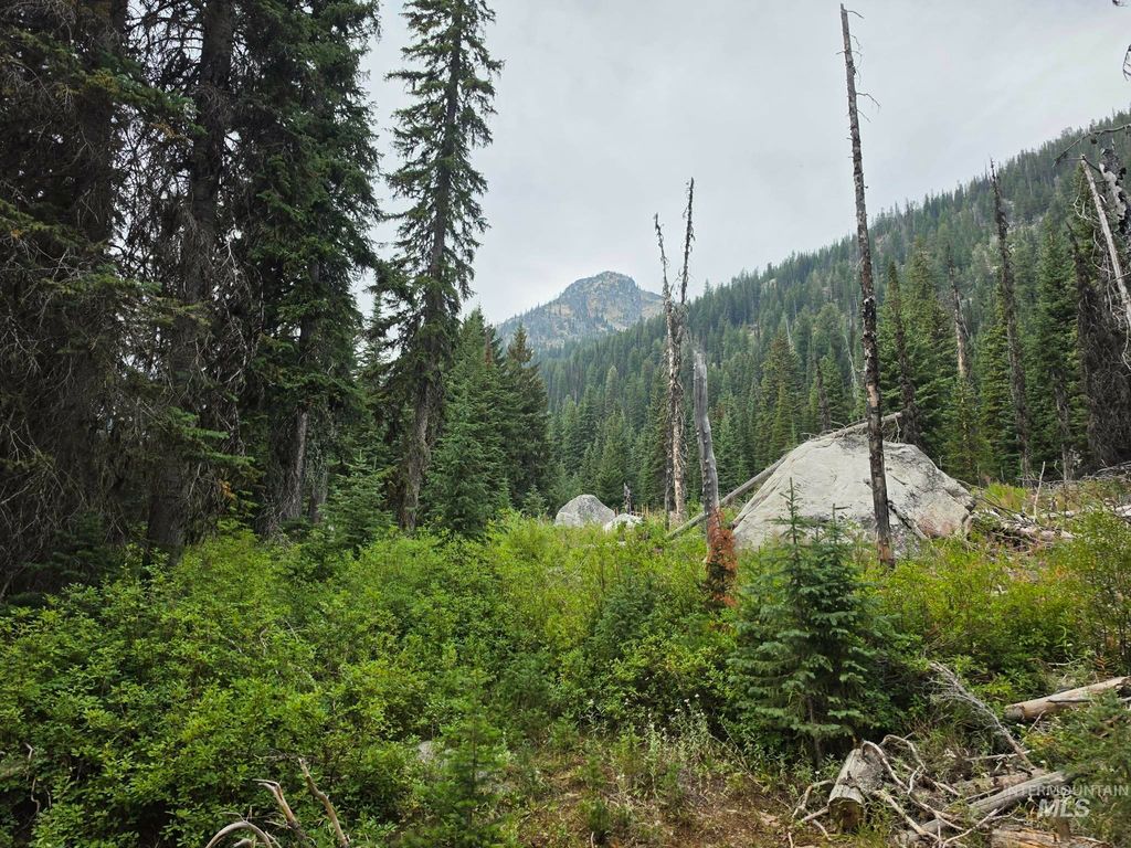 TBD Hump Lake Lot 1, Dixie, ID 83525 photo 4