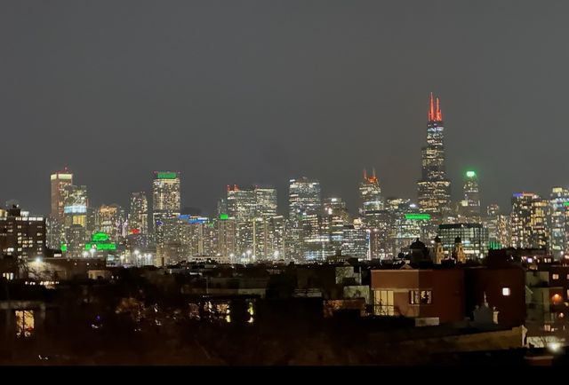 1018 N Honore Avenue C, Chicago, IL 60622