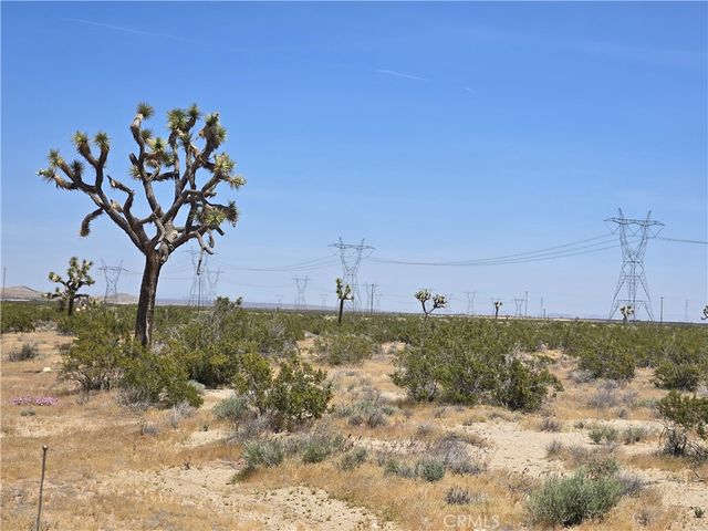 Acres Beaver Avenue, Adelanto, CA 92301