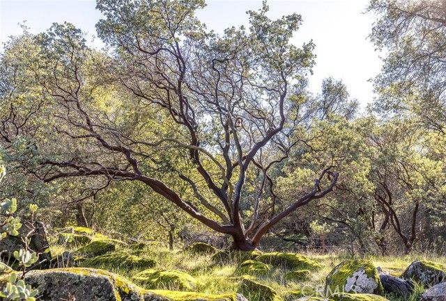 3977 Spring Court, Mariposa, CA 95338