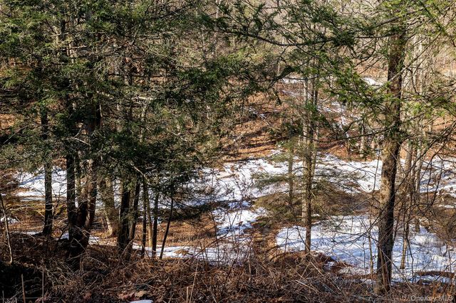 269 Milewood Road, Millbrook, NY 12545