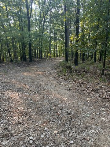 TBD Windsong Lane, Eureka Springs, AR 72631
