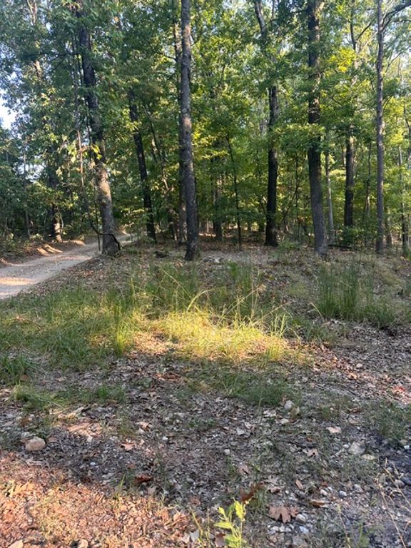 TBD Windsong Lane, Eureka Springs, AR 72631