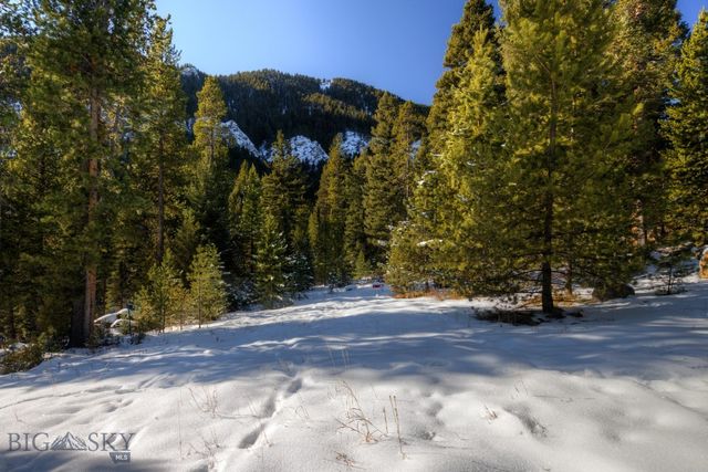 1155 &1269 Dudley Creek Road, Gallatin Gateway, MT 59730