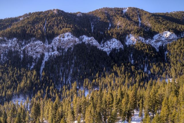 1155 &1269 Dudley Creek Road, Gallatin Gateway, MT 59730