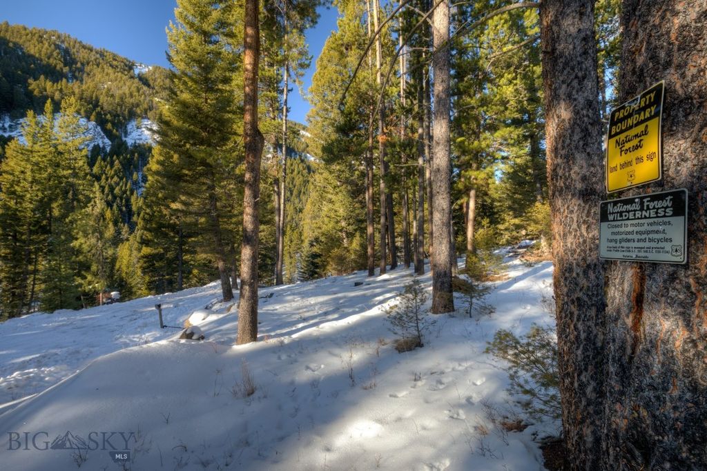 1155 &1269 Dudley Creek Road, Gallatin Gateway, MT 59730 photo 29