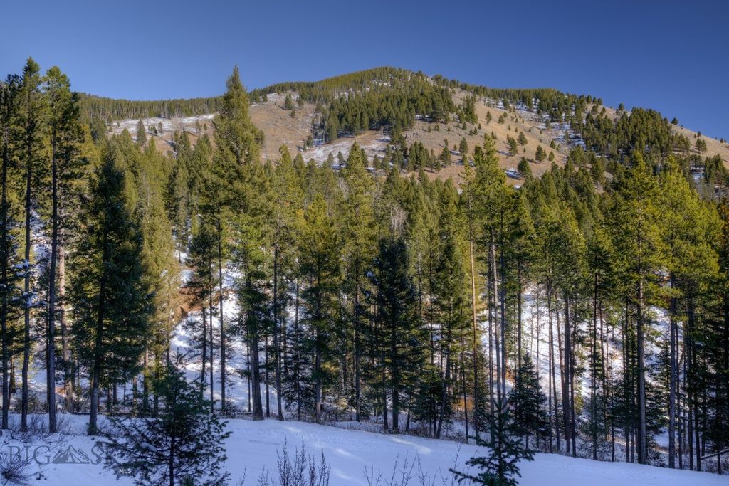 1155 &1269 Dudley Creek Road, Gallatin Gateway, MT 59730 photo 31