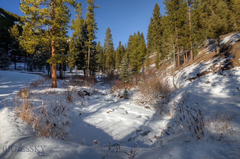 1155 &1269 Dudley Creek Road, Gallatin Gateway, MT 59730 photo 32