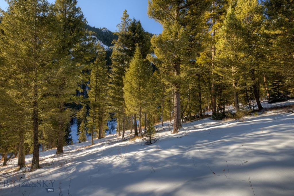 1155 &1269 Dudley Creek Road, Gallatin Gateway, MT 59730 photo 34