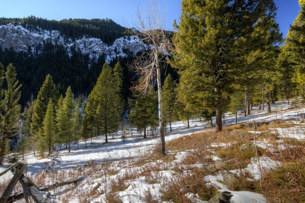 1155 &1269 Dudley Creek Road, Gallatin Gateway, MT 59730 photo 35