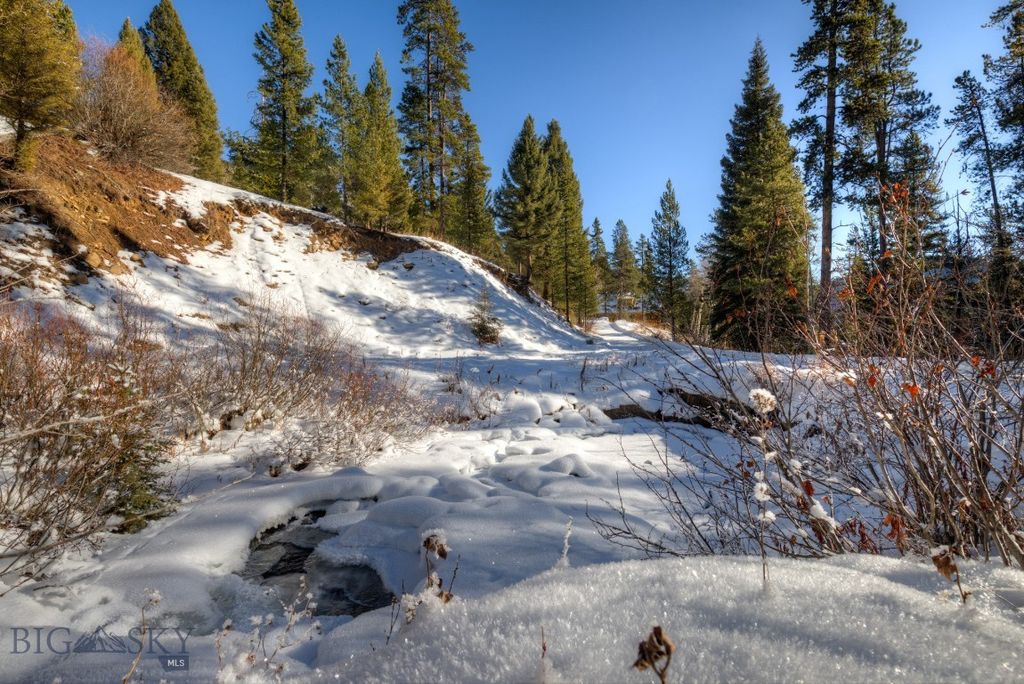 1155 &1269 Dudley Creek Road, Gallatin Gateway, MT 59730 photo 49