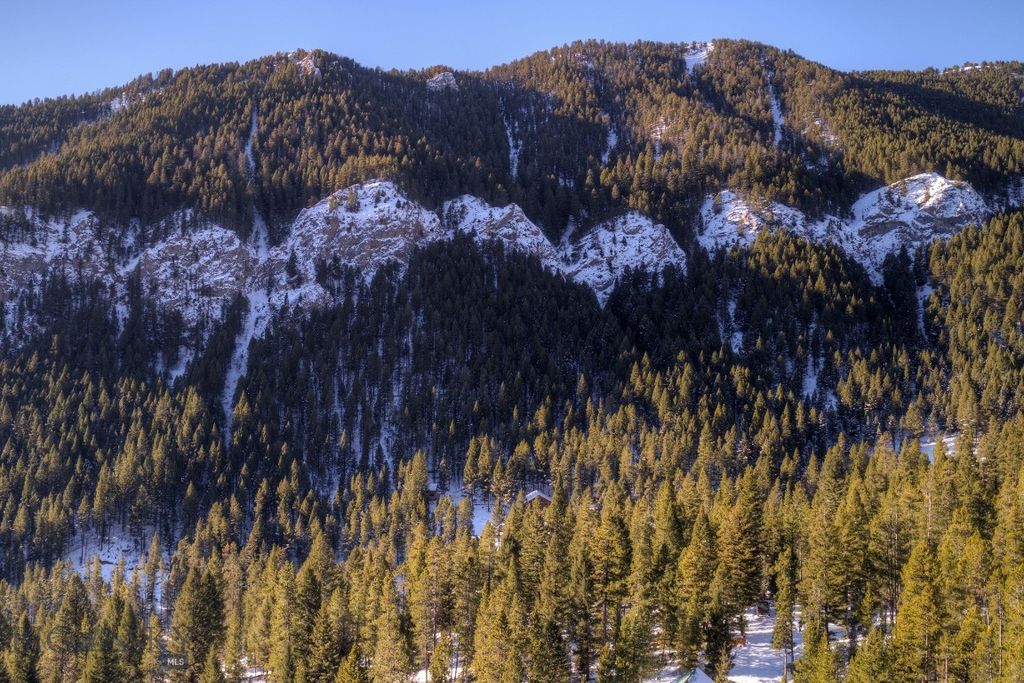 1155 &1269 Dudley Creek Road, Gallatin Gateway, MT 59730 photo 54