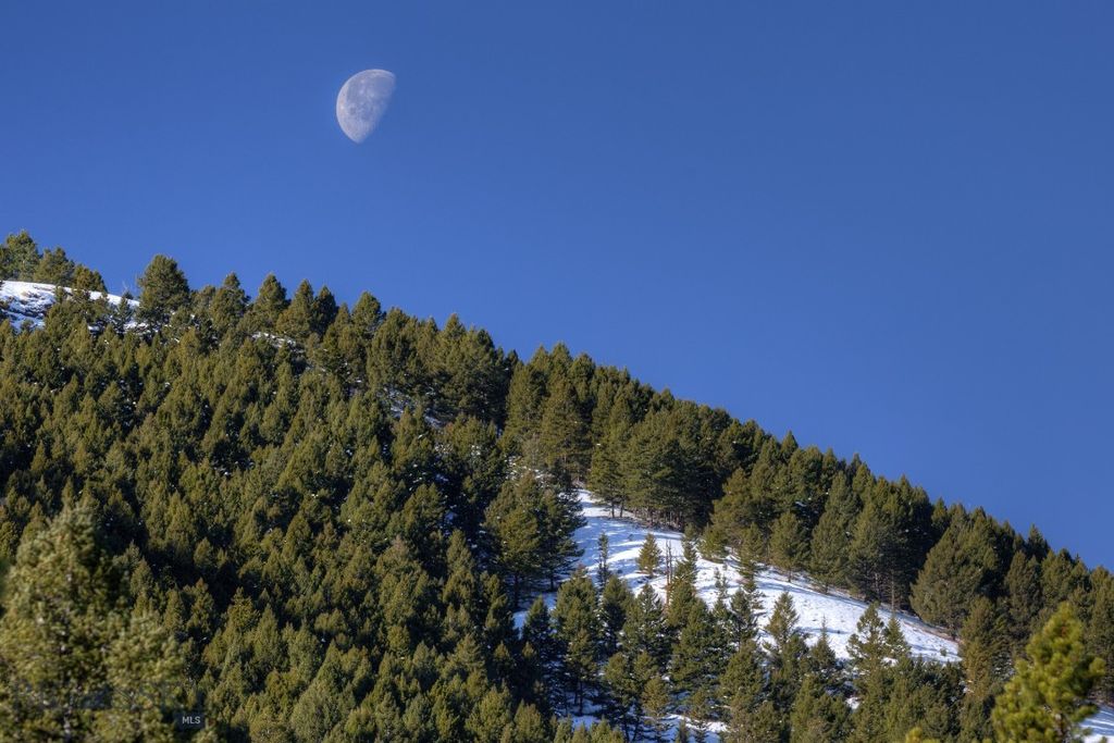 1155 &1269 Dudley Creek Road, Gallatin Gateway, MT 59730 photo 56