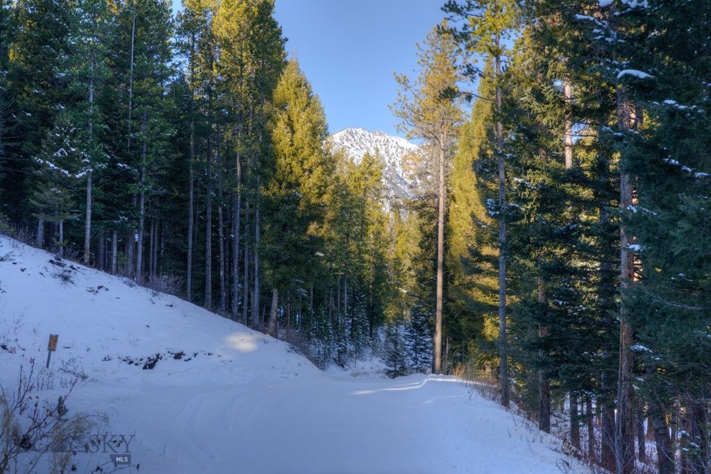 1155 &1269 Dudley Creek Road, Gallatin Gateway, MT 59730 photo 6