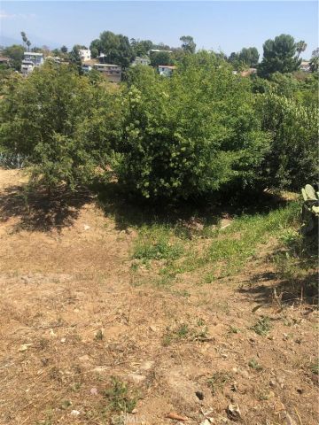 923 Alegre, Los Angeles, CA 90065