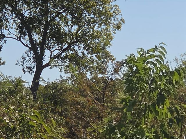 Lot 7 with BS #15 Vista Pointe Drive, Kerens, TX 75109