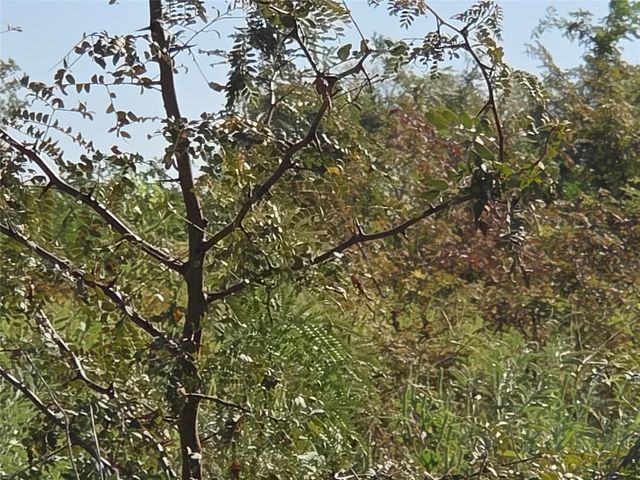 Lot 7 with BS #15 Vista Pointe Drive, Kerens, TX 75109