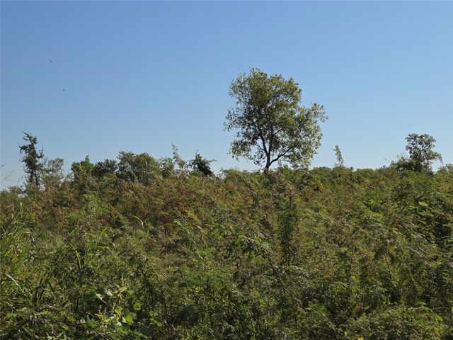 Lot 7 with BS #15 Vista Pointe Drive, Kerens, TX 75109