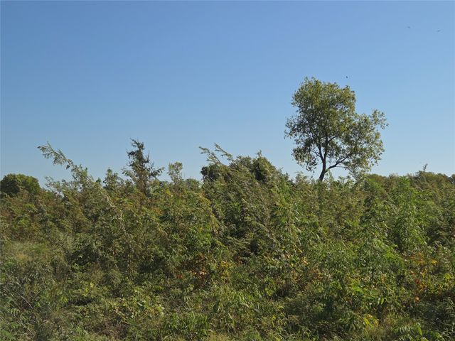 Lot 7 with BS #15 Vista Pointe Drive, Kerens, TX 75109