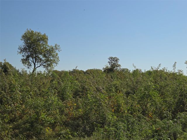 Lot 7 with BS #15 Vista Pointe Drive, Kerens, TX 75109
