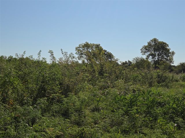 Lot 7 with BS #15 Vista Pointe Drive, Kerens, TX 75109