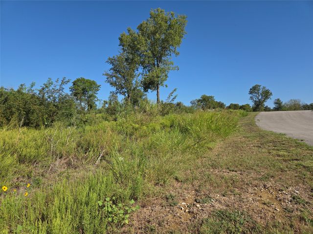 Lot 7 with BS #15 Vista Pointe Drive, Kerens, TX 75109