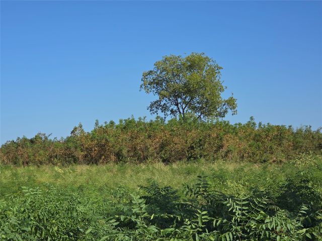 Lot 7 with BS #15 Vista Pointe Drive, Kerens, TX 75109