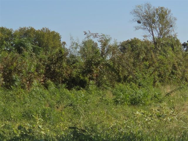 Lot 7 with BS #15 Vista Pointe Drive, Kerens, TX 75109